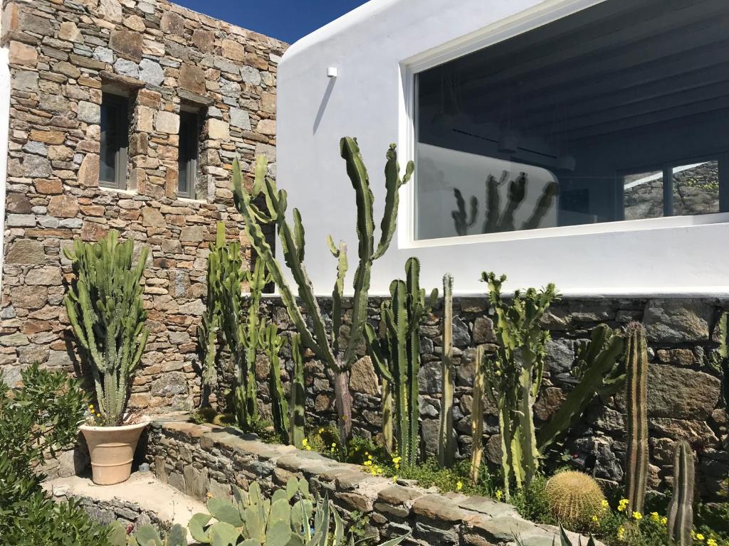 Ostraco Suites foto 15