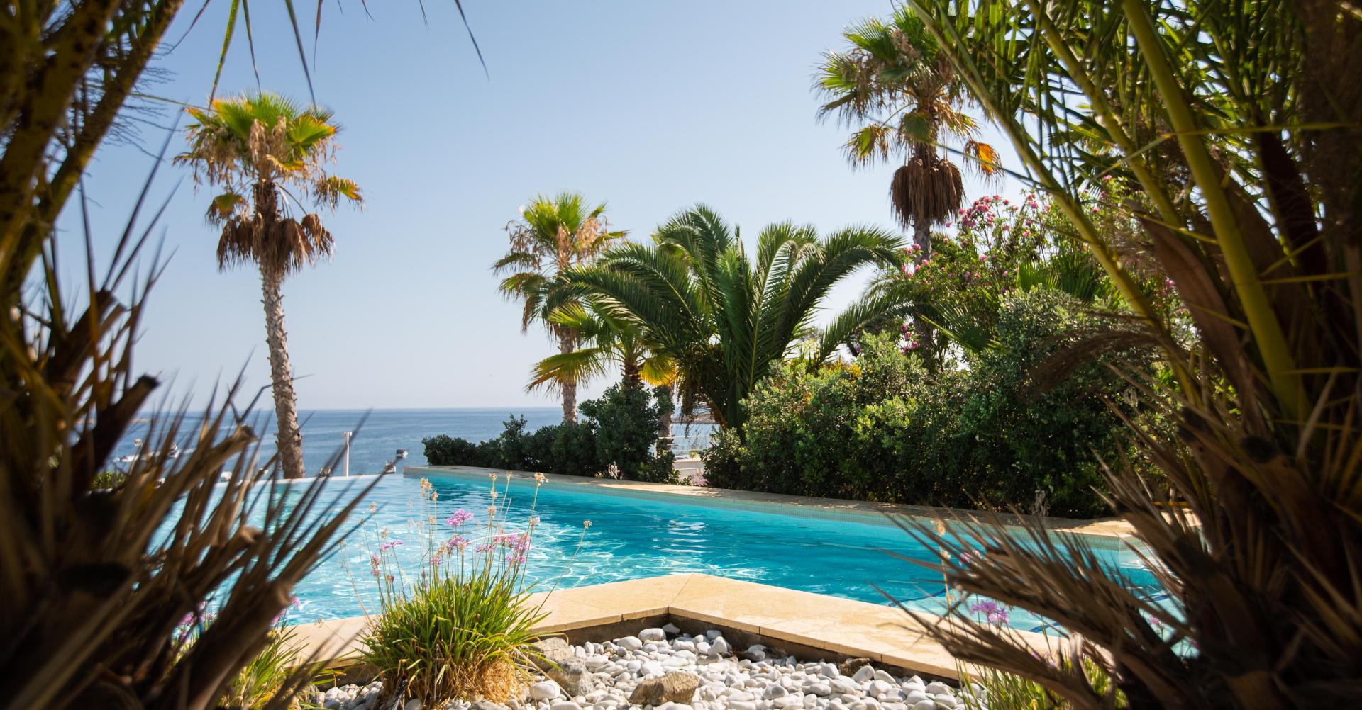 Zwembad omringd door palmbomen — Salini Resort