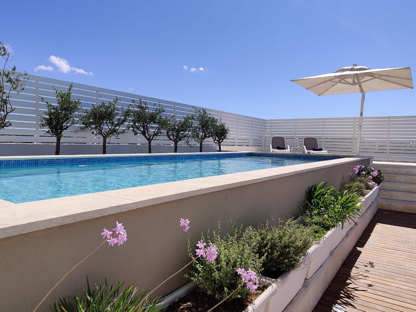 Zwembad omringd door palmbomen — Salini Resort