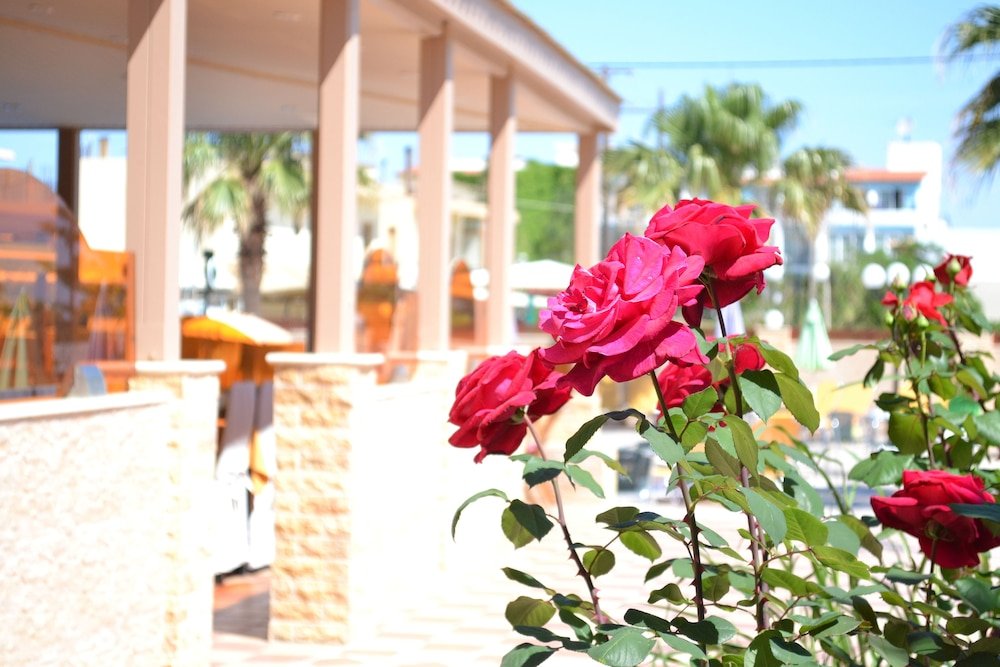 Palladion Hotel Rethymno foto 30
