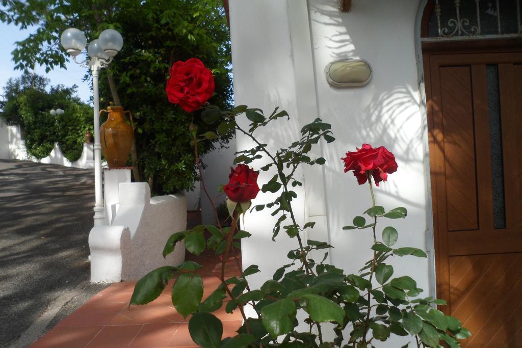 Hotel Park Calitto image 3