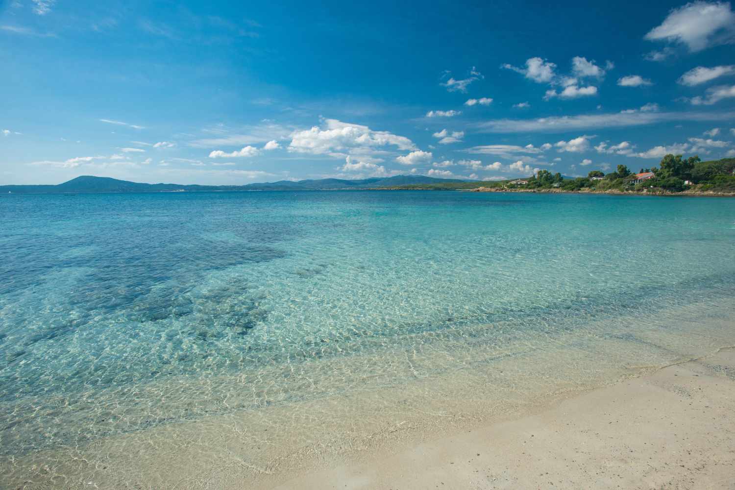 The Pelican Beach Resort & SPA foto 15