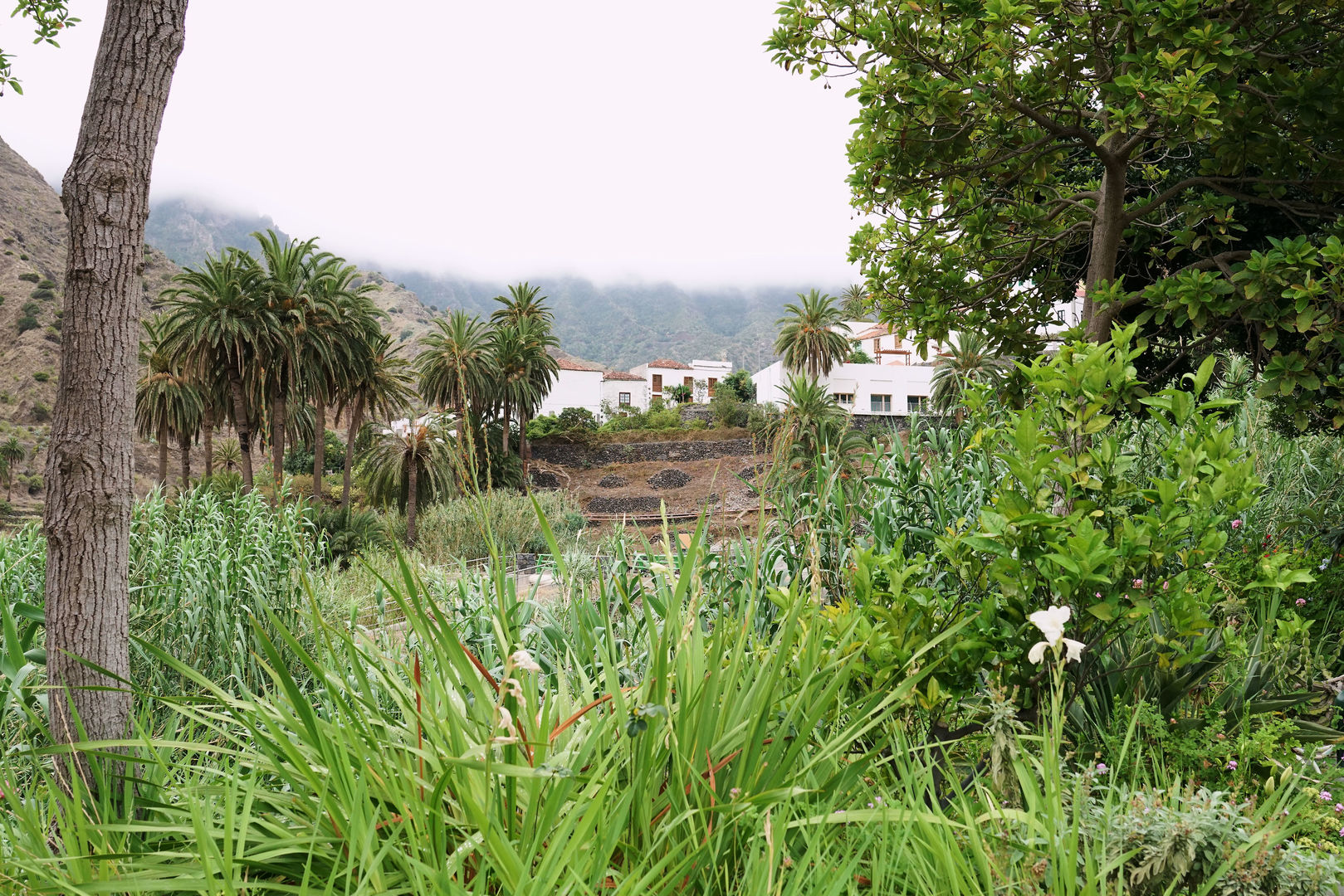 Finca Piñero foto 12