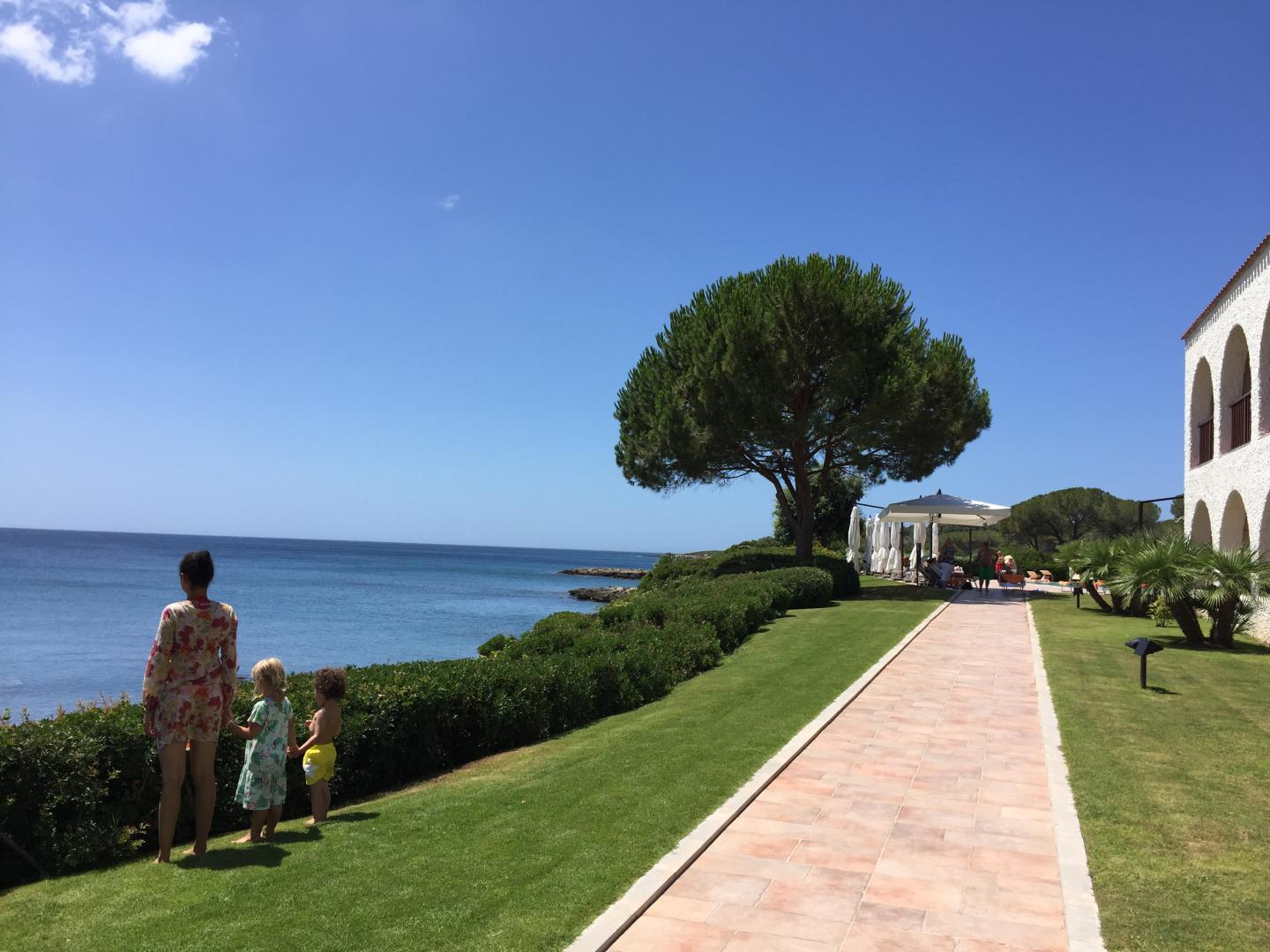 Tropische tuin met palmbomen — Hotel Punta Negra