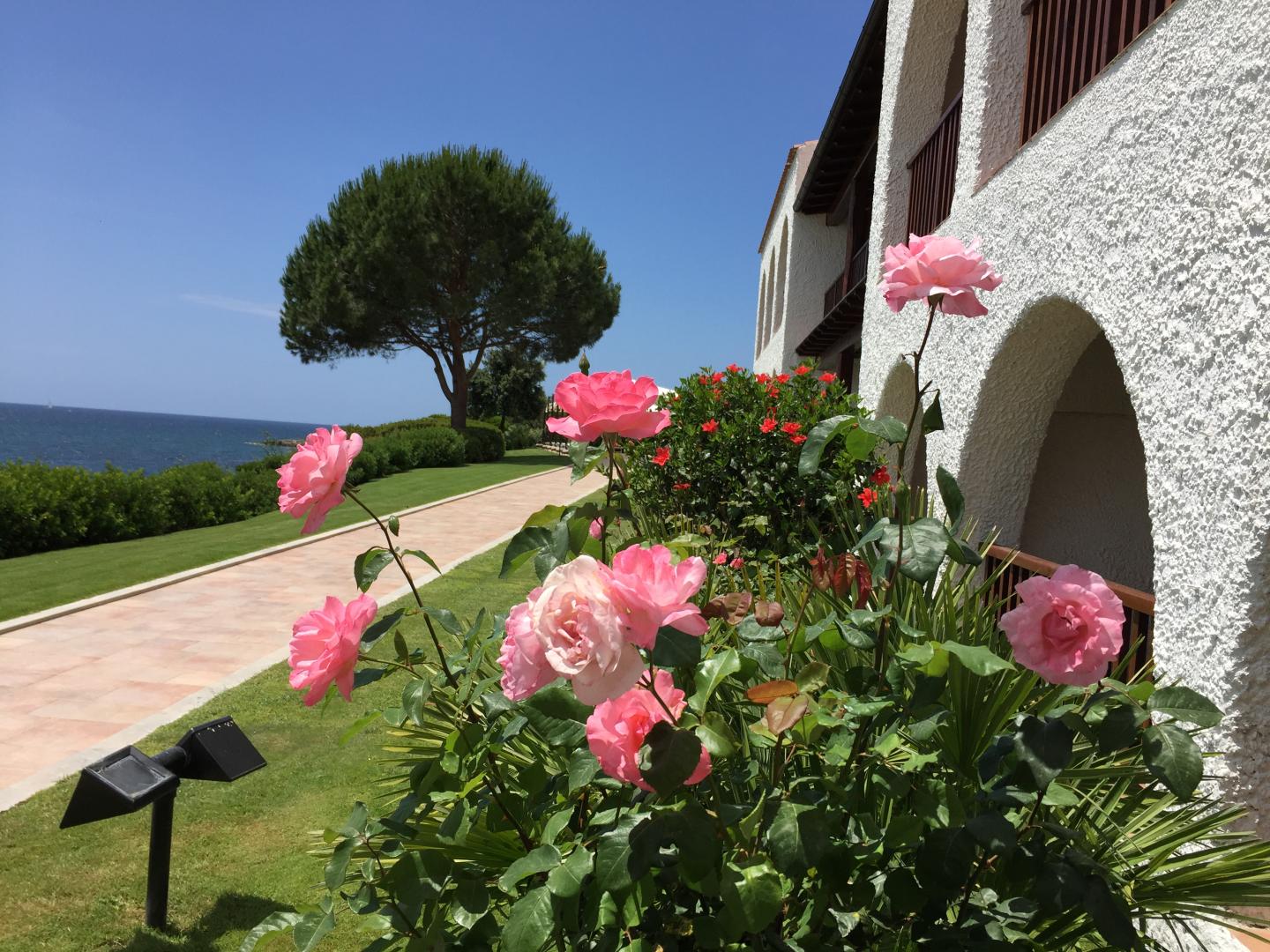 Bloementuin — Hotel Punta Negra
