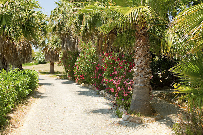 Quinta do Mar - Country & Sea Village foto 47
