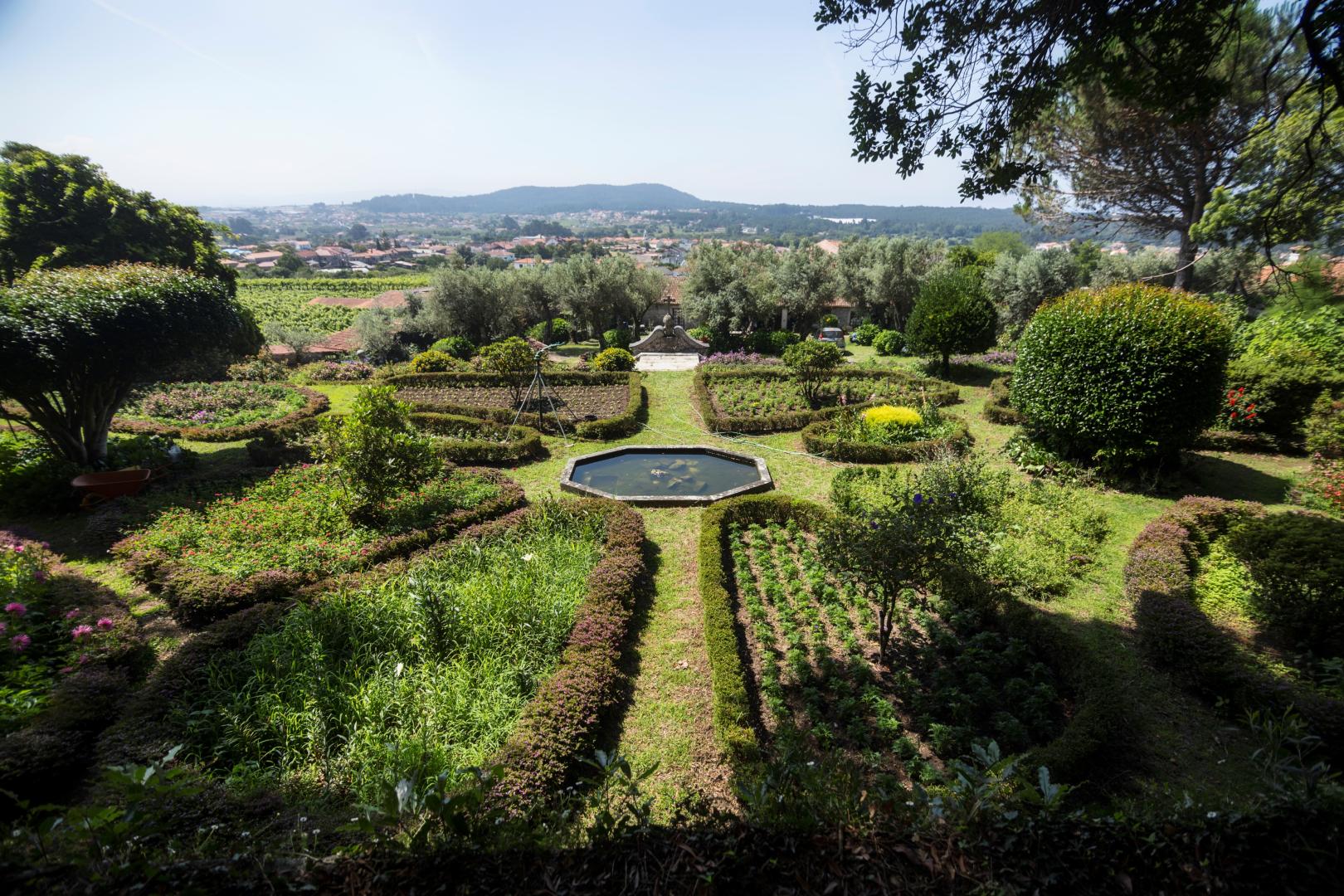 Quinta do Paco d'Anha foto 15