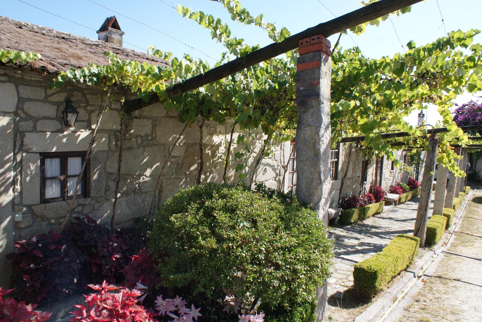 Quinta do Paco d'Anha foto 6