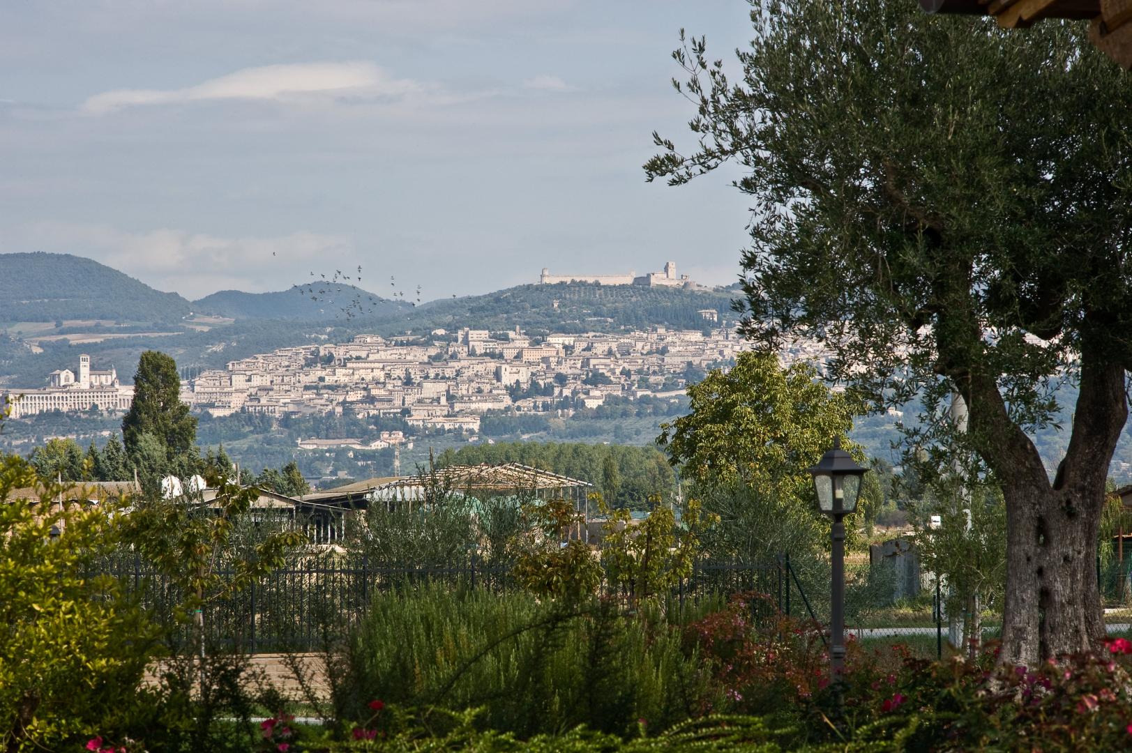 Le Rondini di Francesco di Assisi foto 16