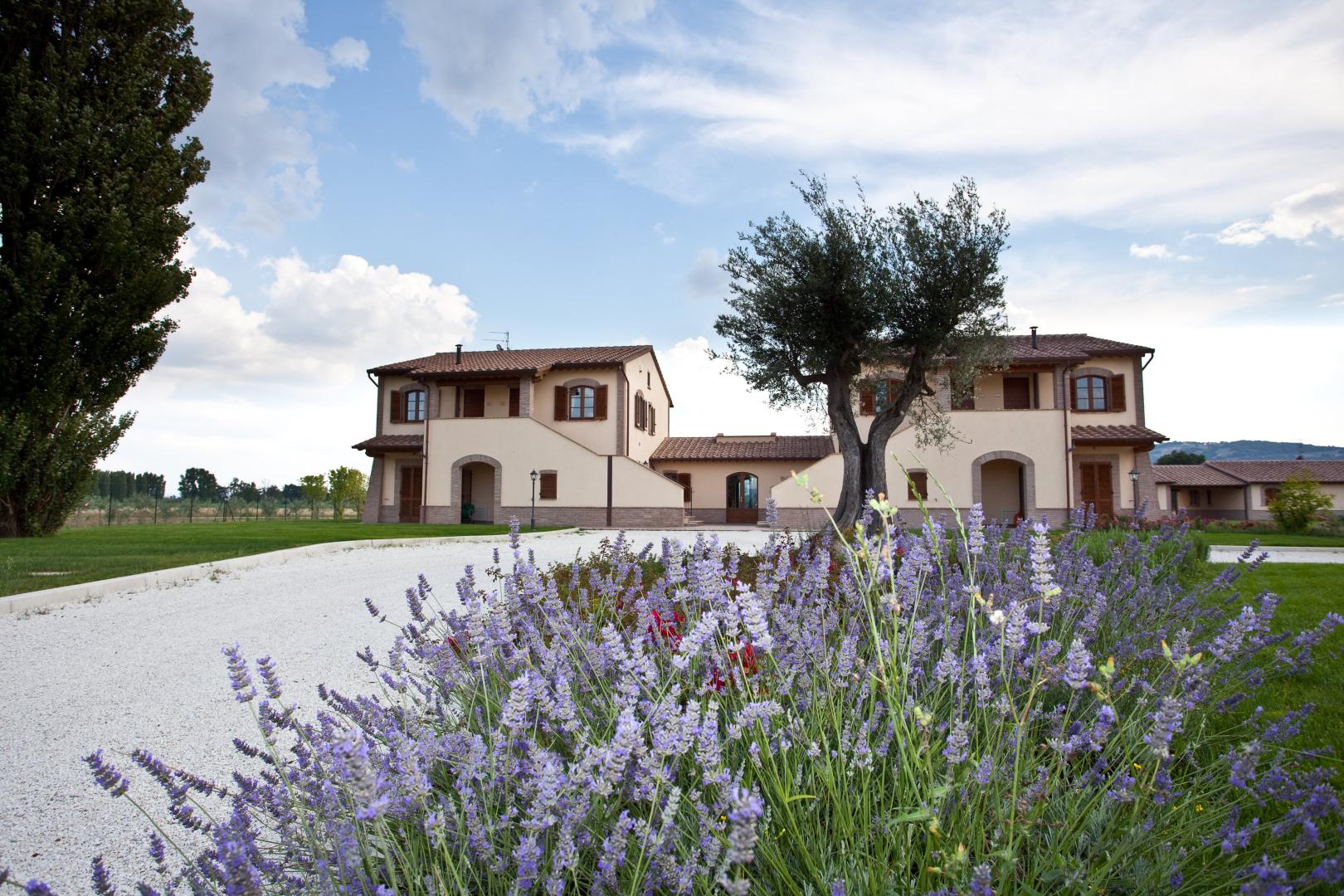 Le Rondini di Francesco di Assisi foto 8