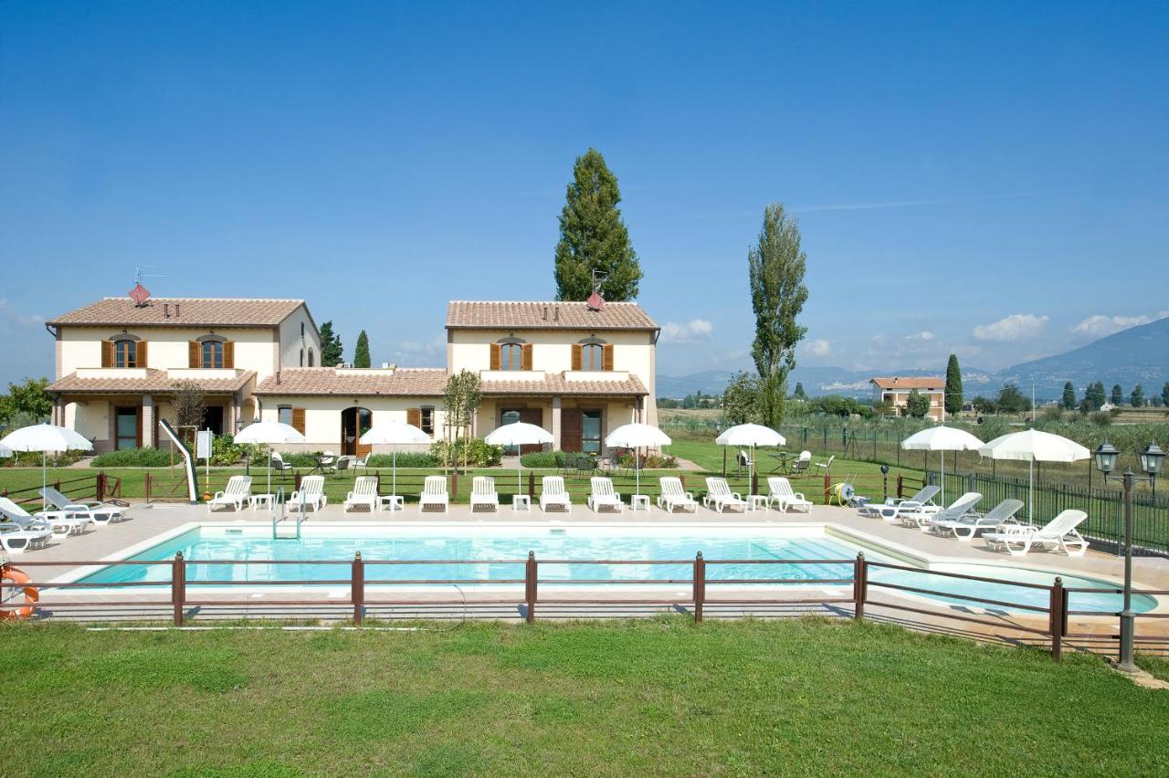 Le Rondini di Francesco di Assisi foto 4