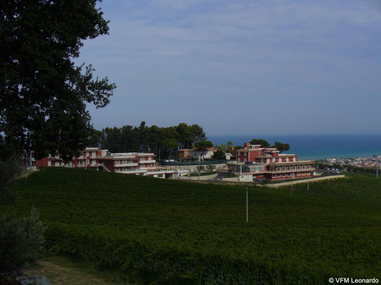 Il Parco sul Mare Resort & Spa foto 3
