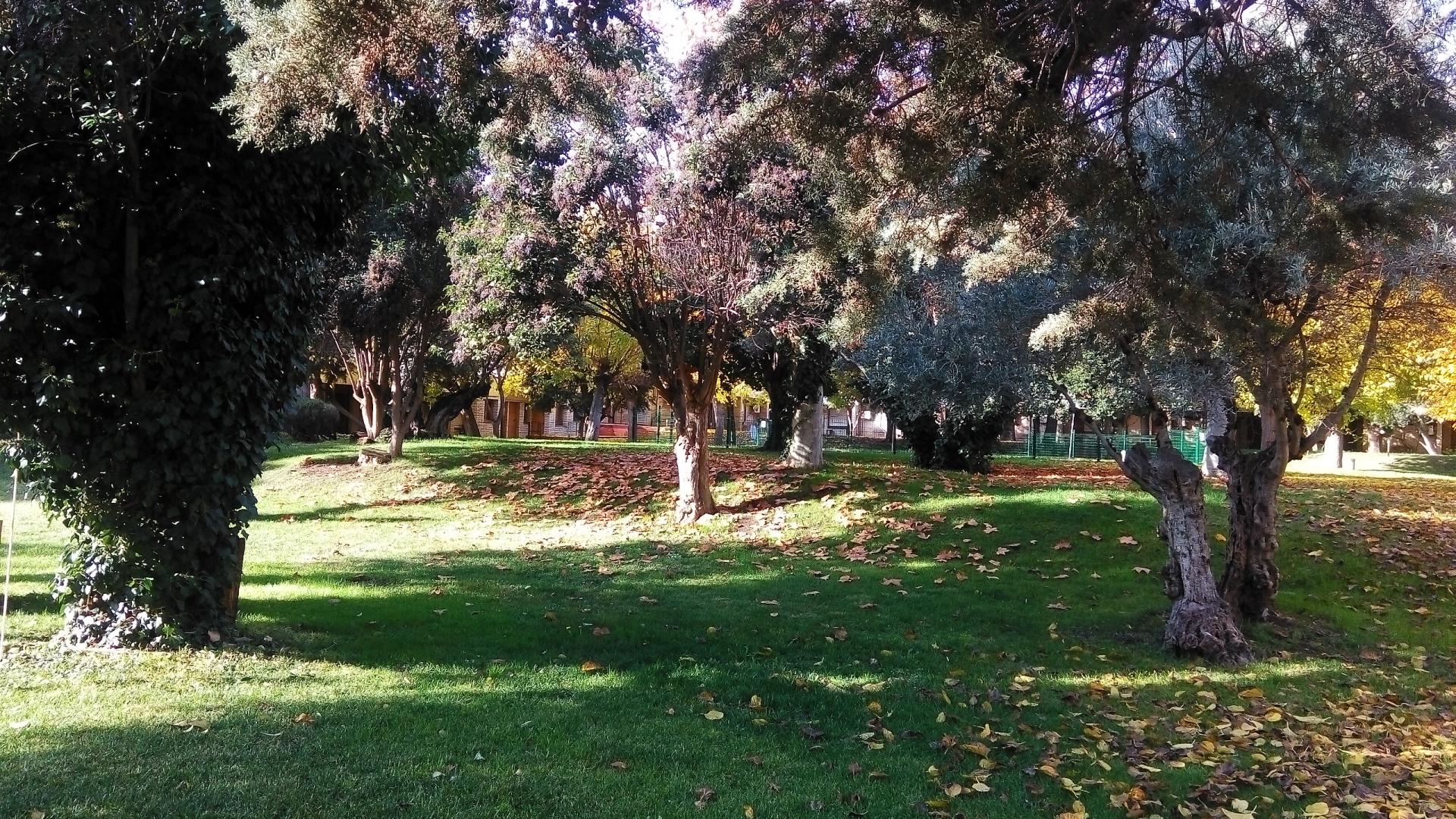 Hotel Los Olivos foto 15