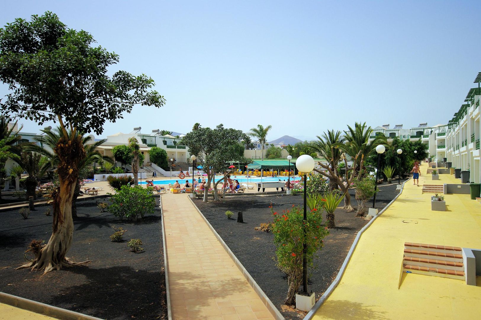 Plaza Palmeras foto 11