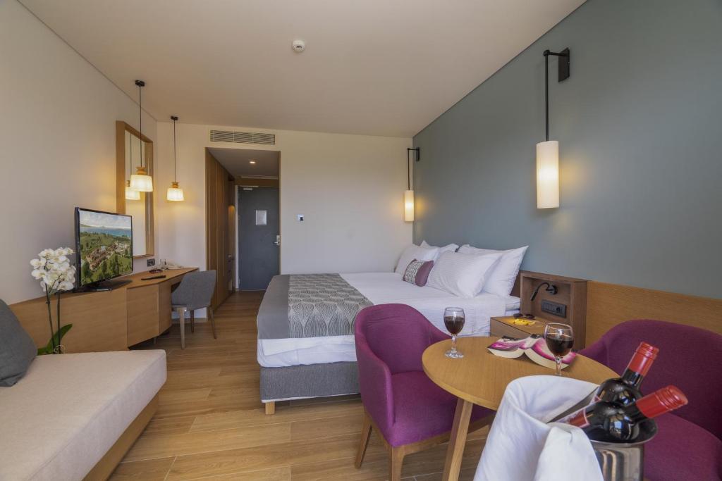 Apollonion Asterias Resort & Spa foto 17