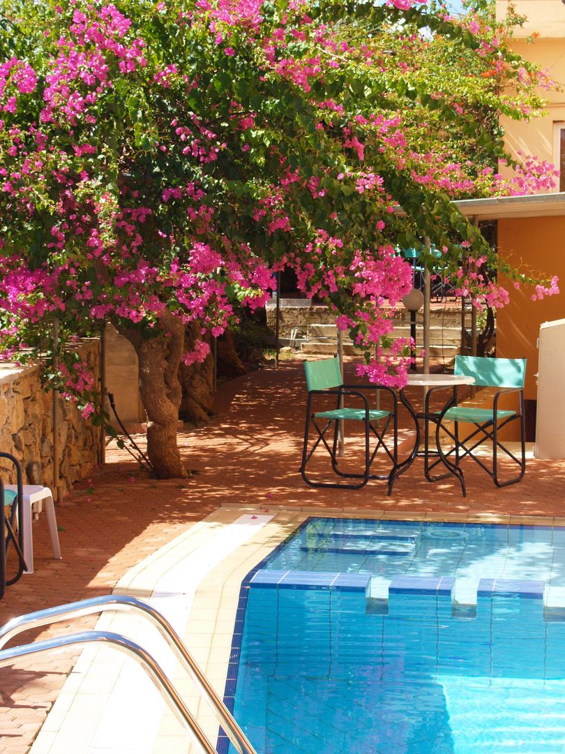 Elotia Hotel foto 8