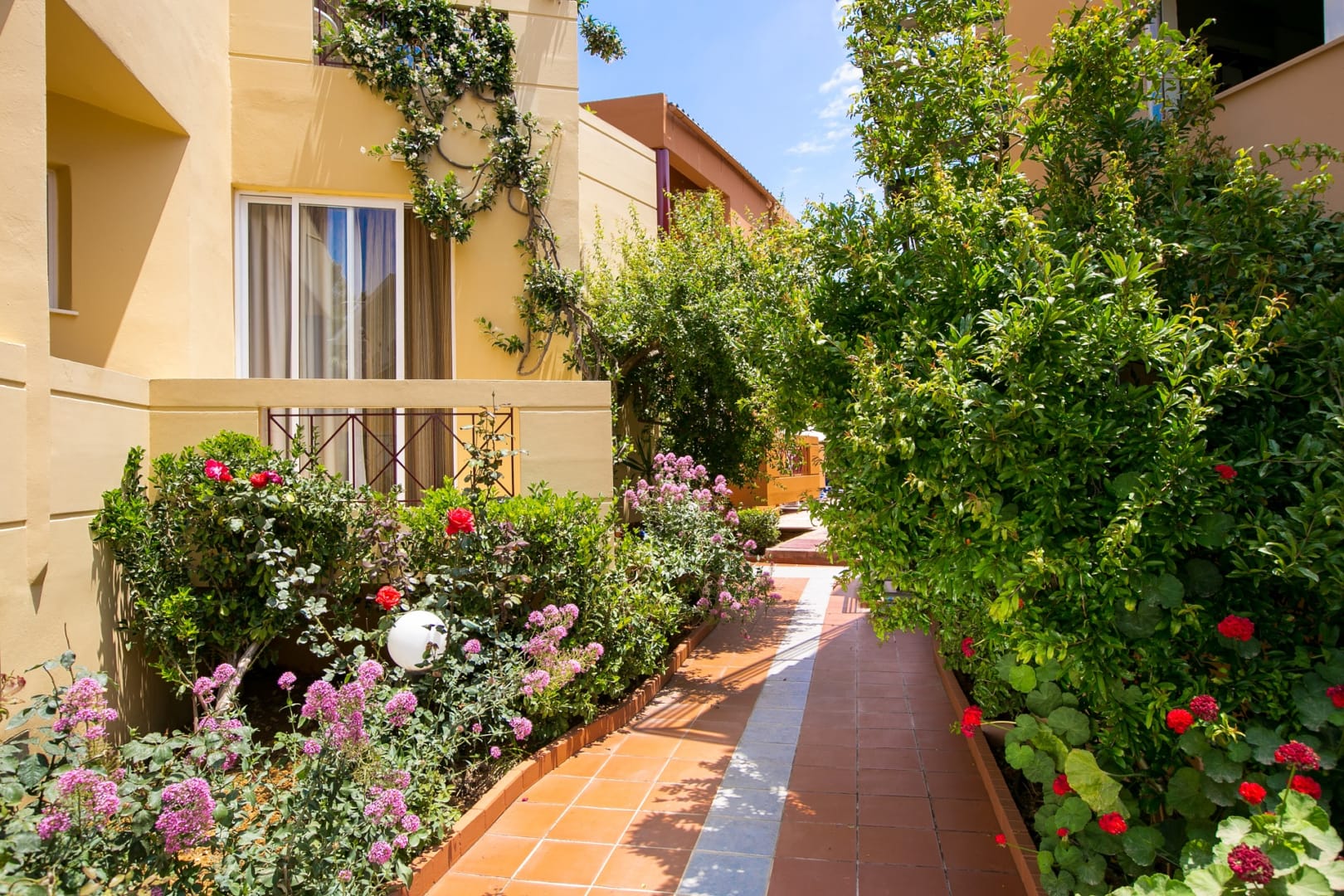 Elotia Hotel foto 15