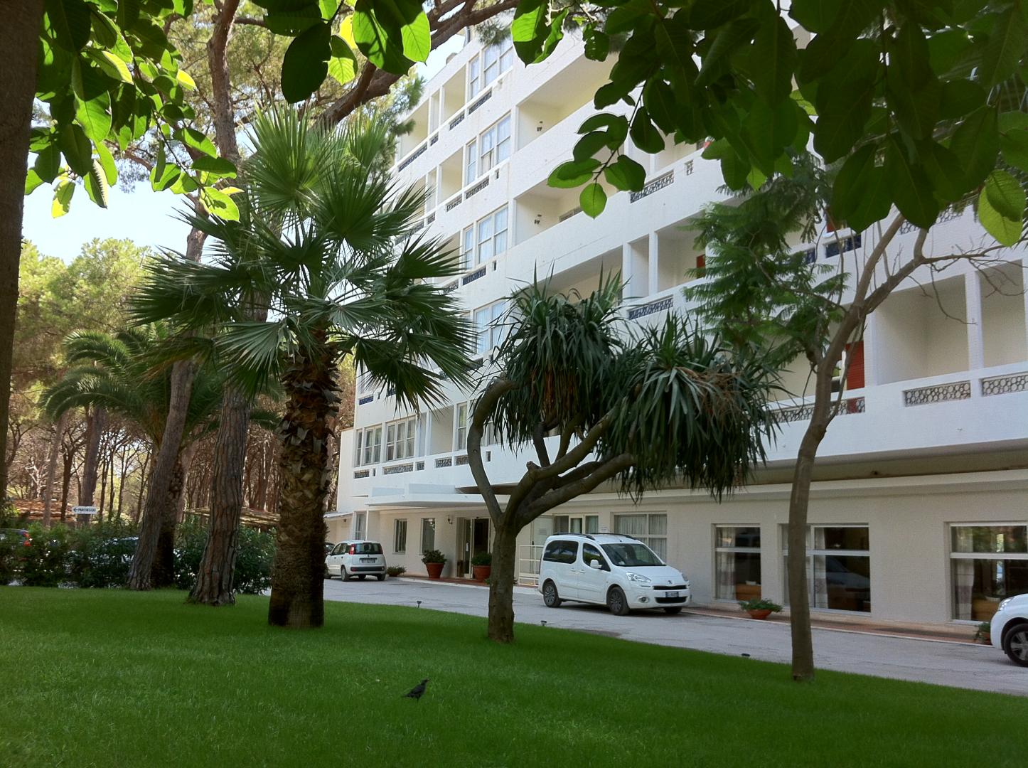 Tropische tuin met palmbomen — Abamar Hotel