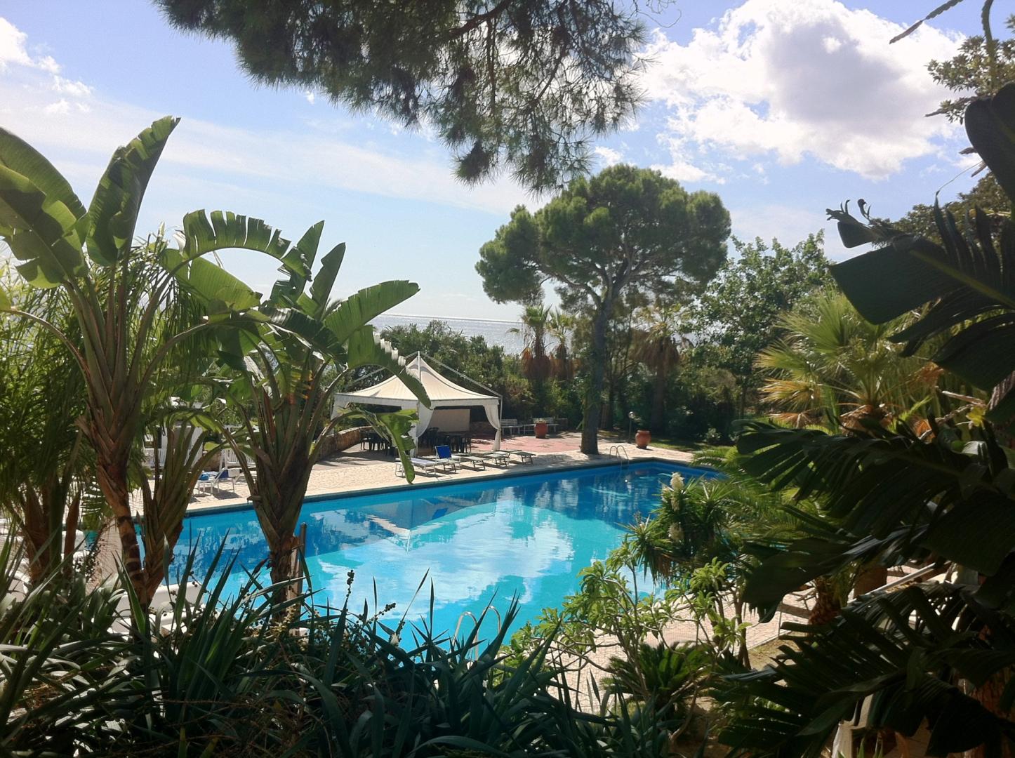 Zwembad omringd door palmbomen — Abamar Hotel
