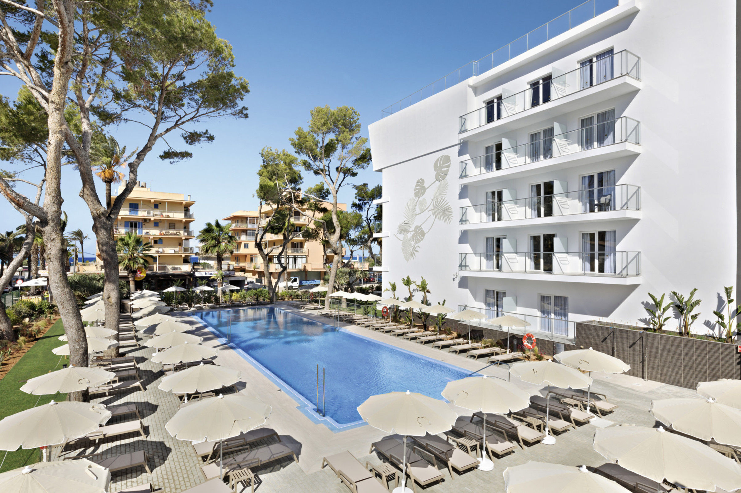 Hotel Riu Concordia foto 5