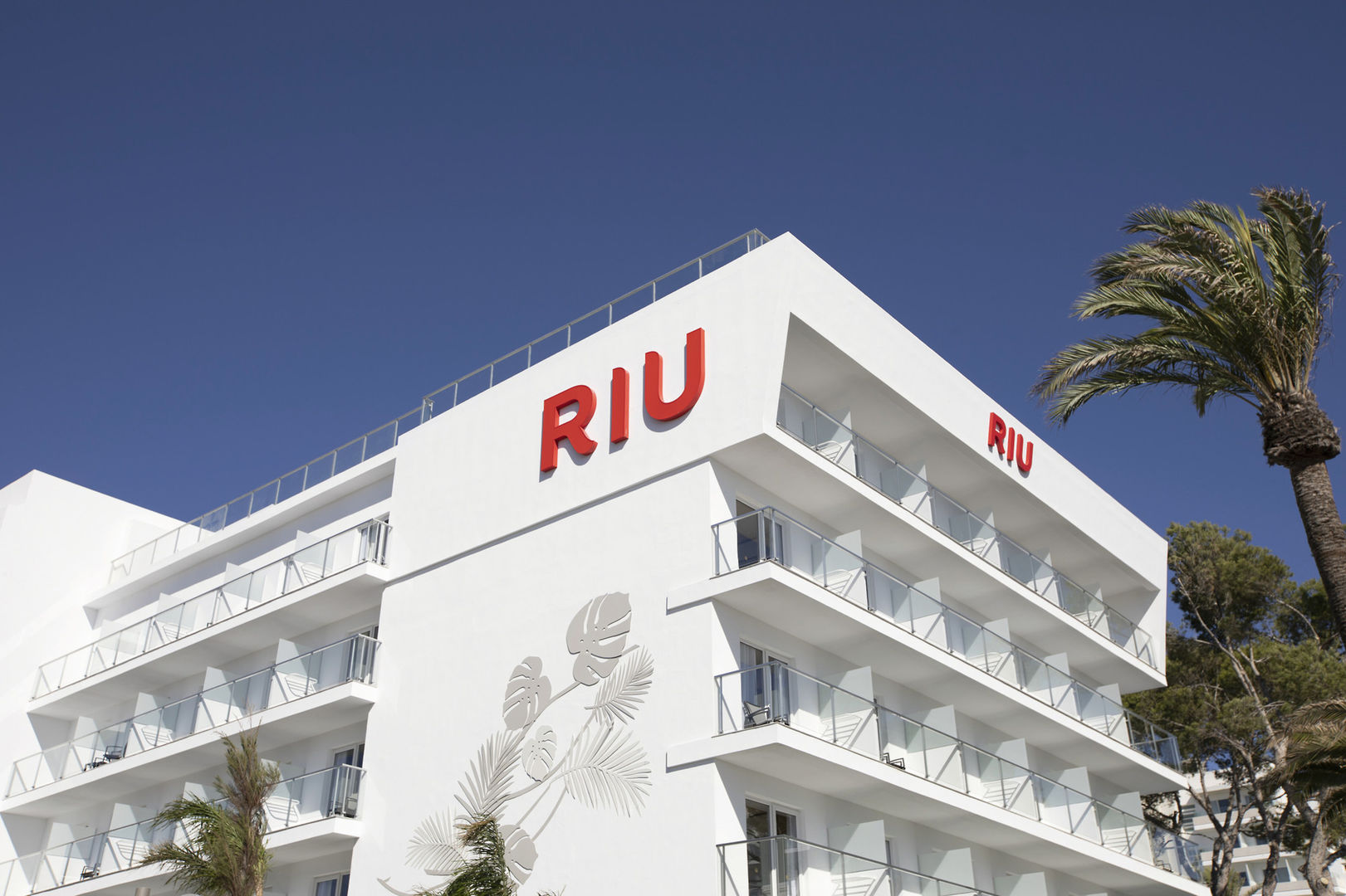 Hotel Riu Concordia foto 13
