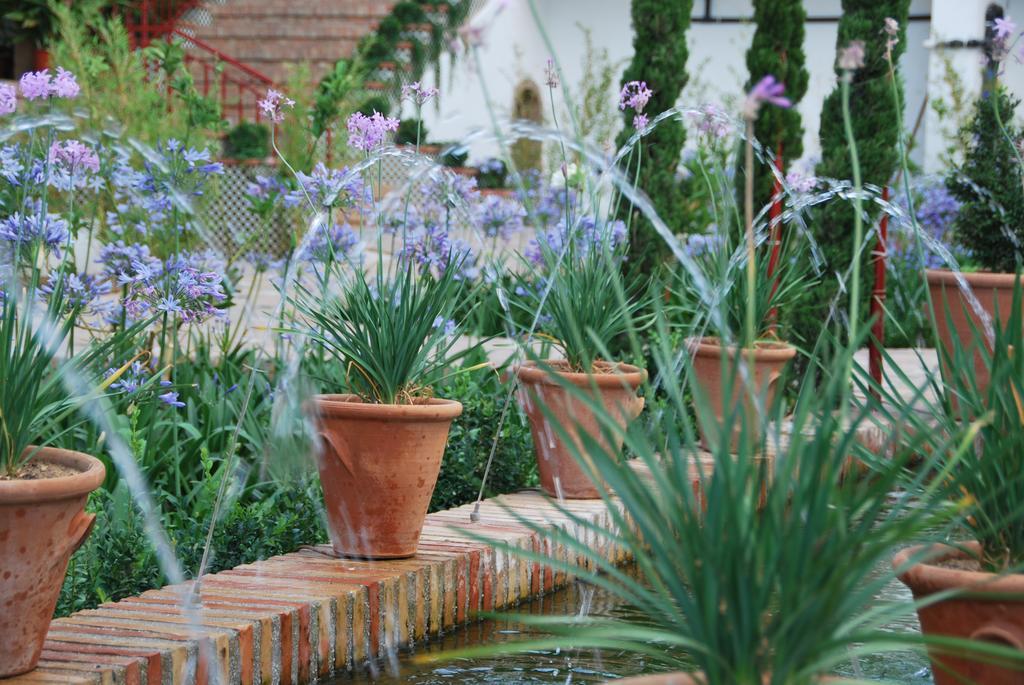 Andalucia foto 15