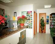 Babalu Apartamentos foto 22