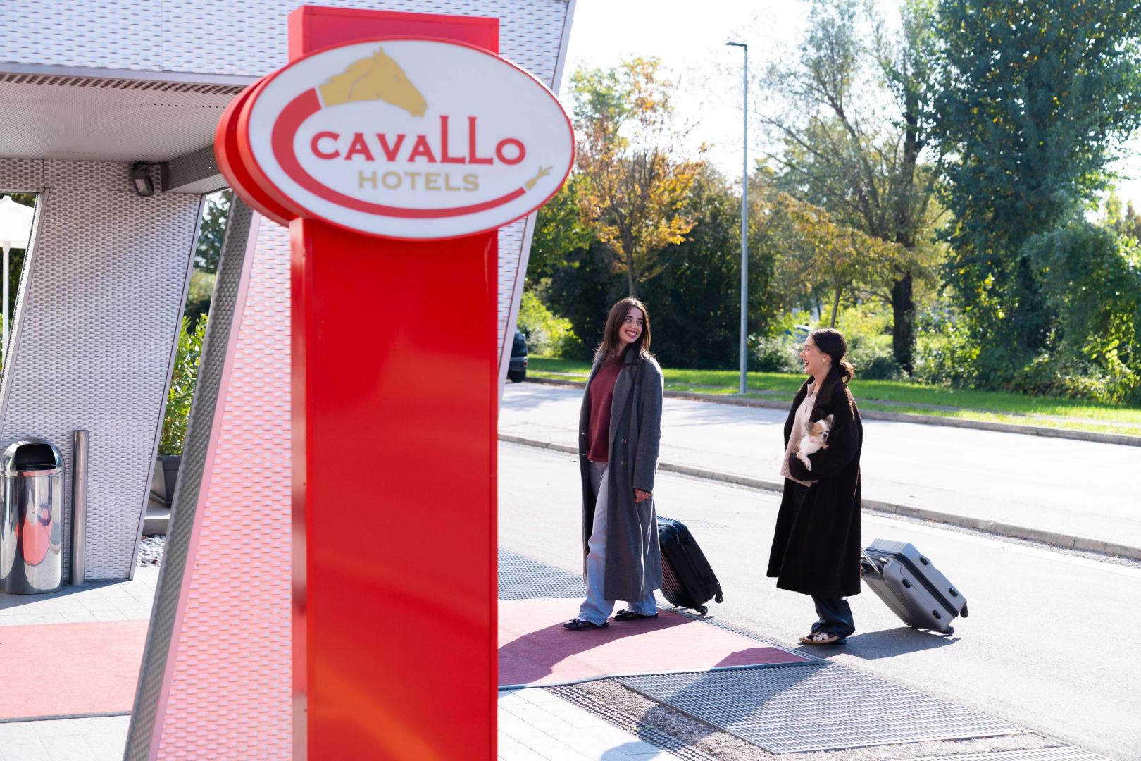 CAVALLO Hotel Noventa di Piave foto 31