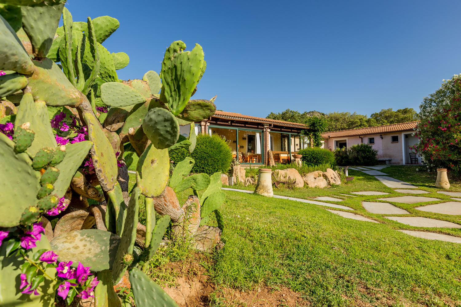 Tropische tuin met palmbomen — Borgo di Campagna