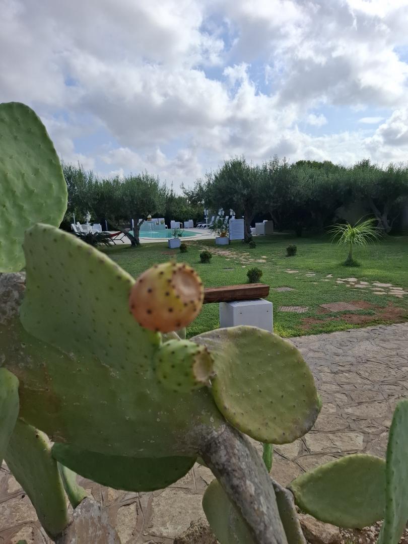 Signorino Resort foto 31
