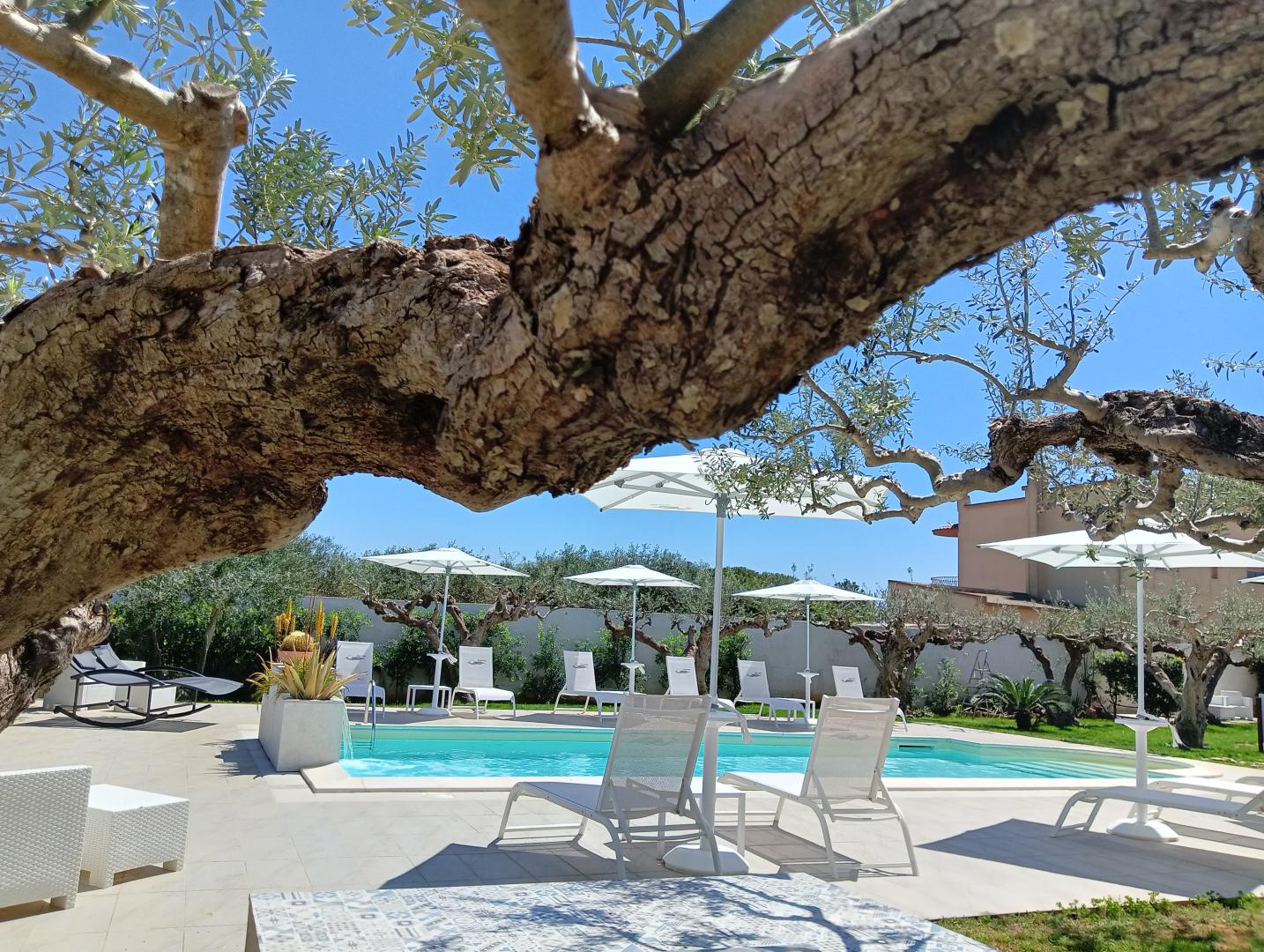 Signorino Resort foto 6