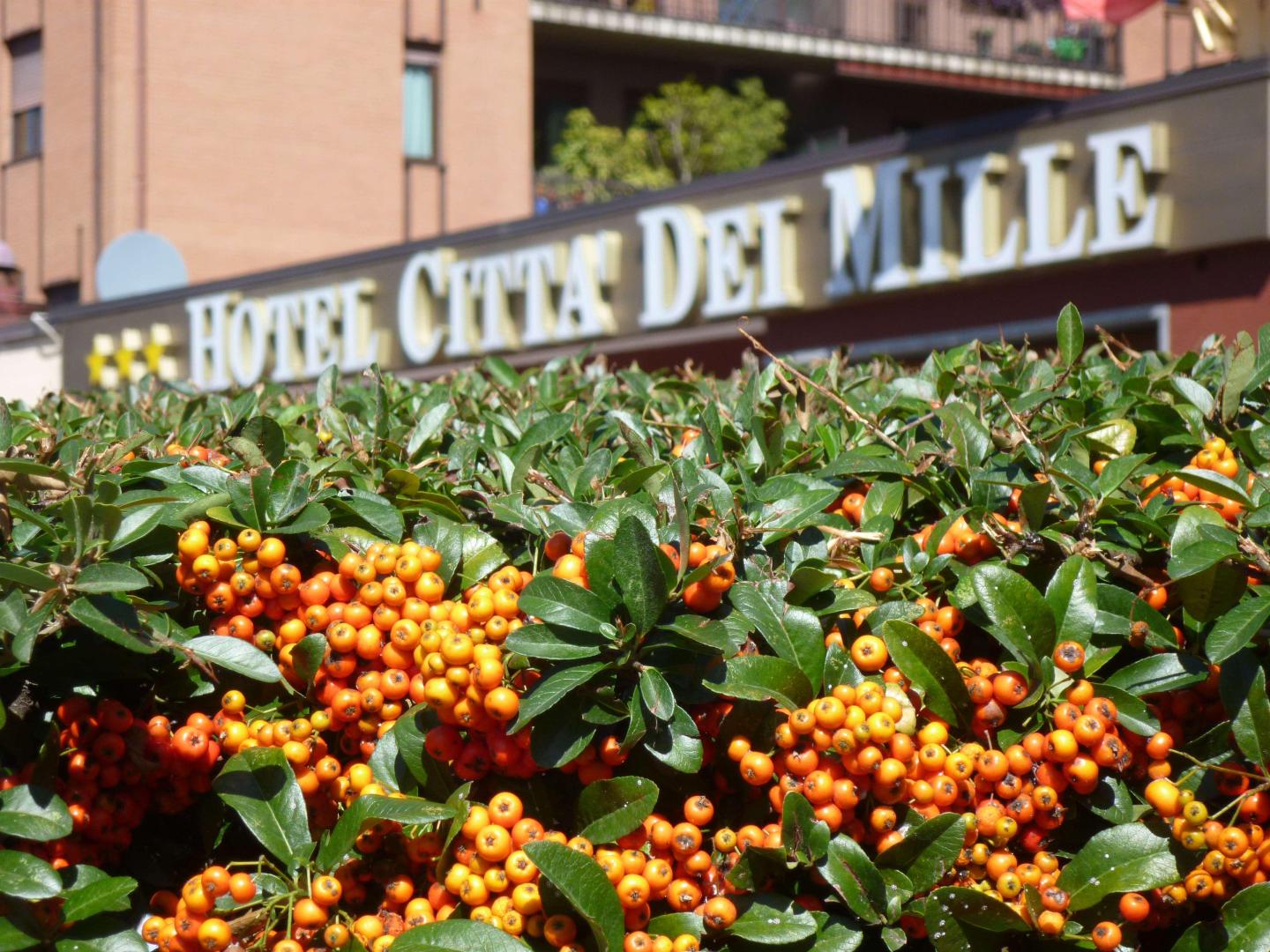 Città Dei Mille foto 19