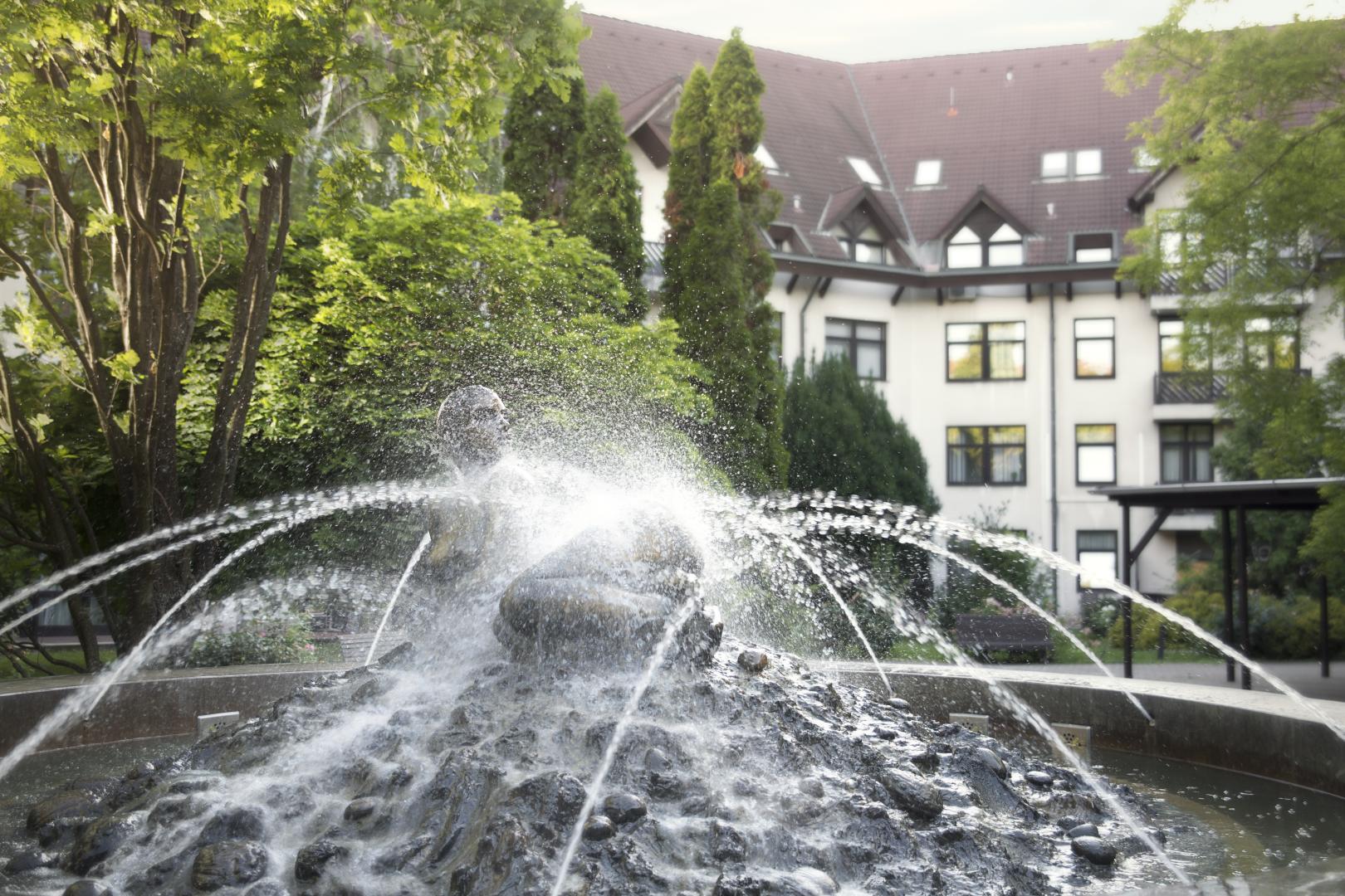 Rubin Wellness & Conference Hotel foto 13