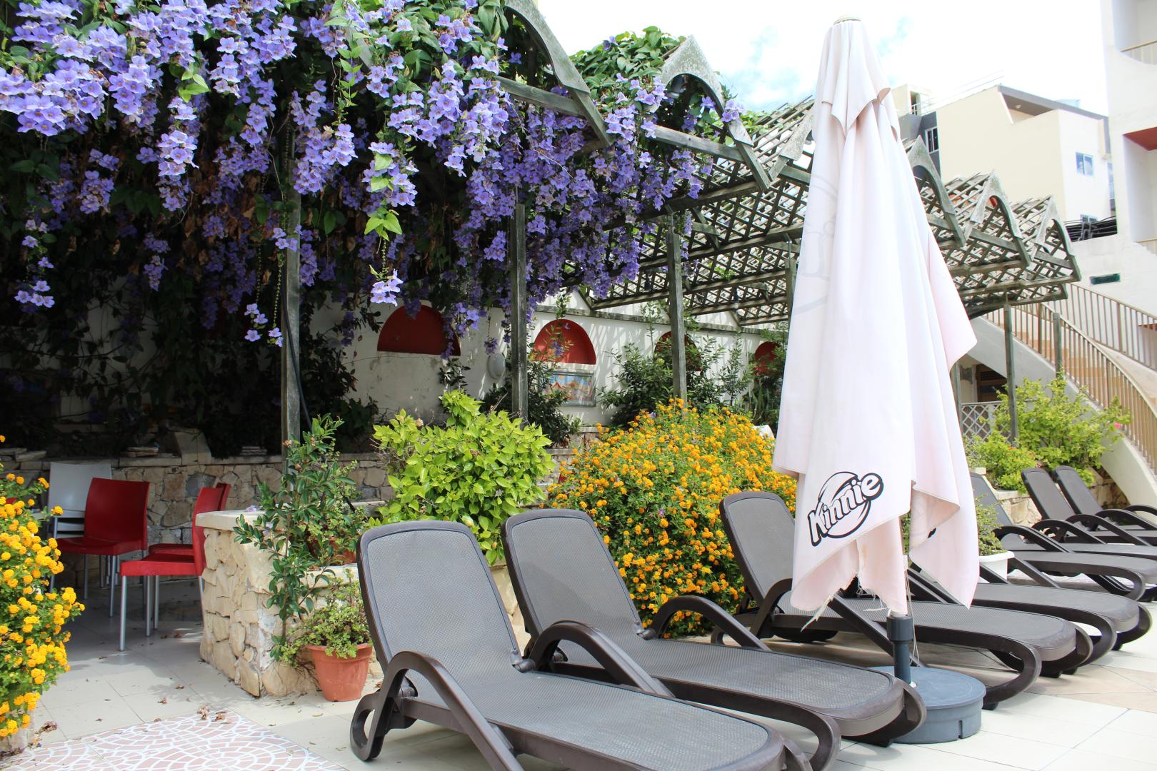 The San Anton Hotel image 2