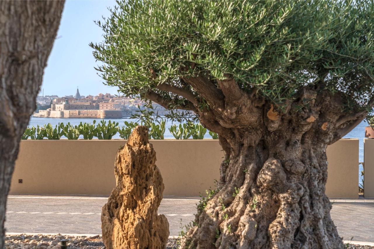 een grote olijfboom voor een gebouw bij Minareto in Siracusa