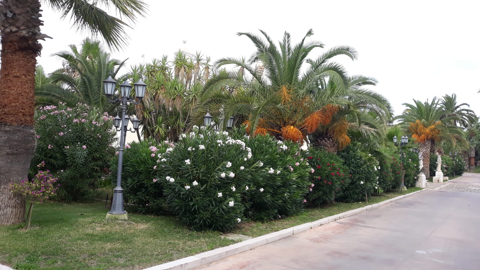Grand Hotel Vigna Nocelli foto 33