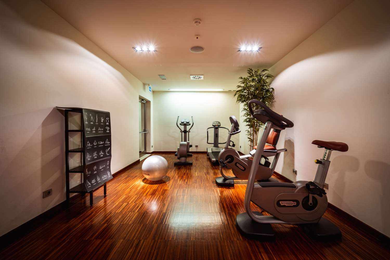Fitnessruimte met cardio-apparaten — Jazz