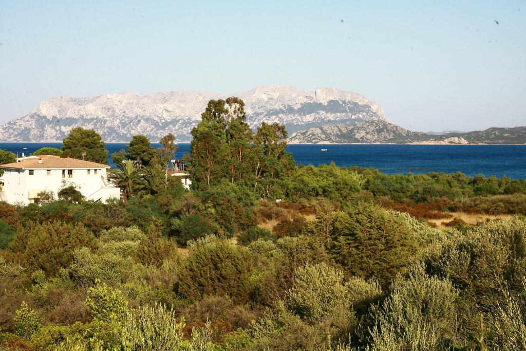 Omgeving — Hotel Mare Blue