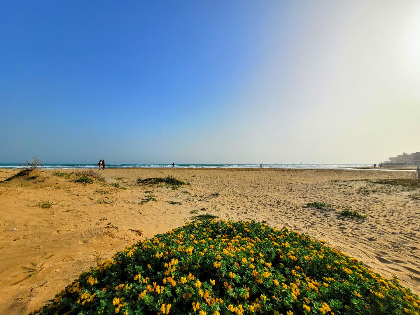 Mare Nostrum Petit Hotel image 3