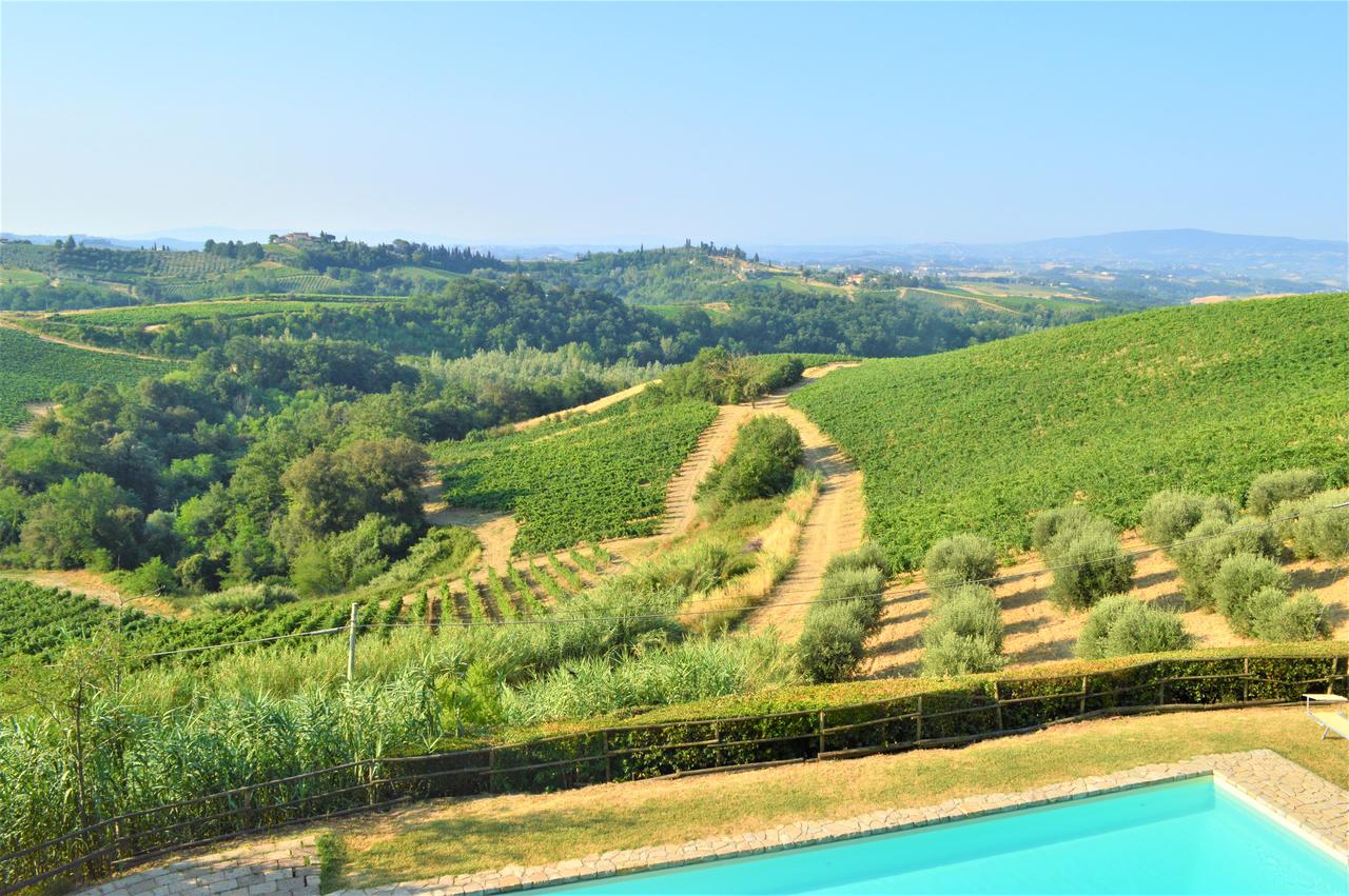 Fattoria il Bacio foto 12