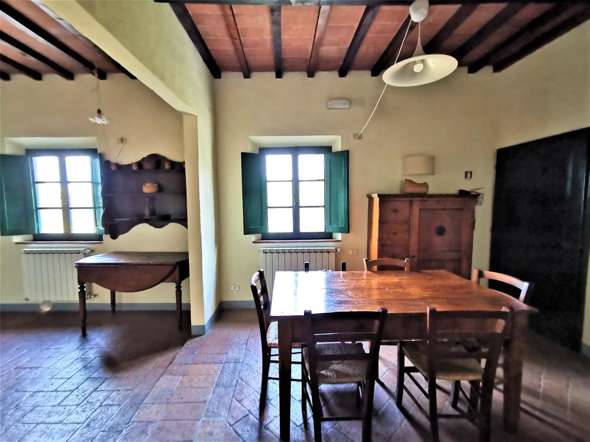 Fattoria il Bacio foto 17