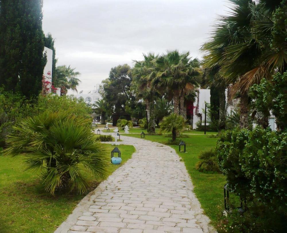 Shalimar image 2
