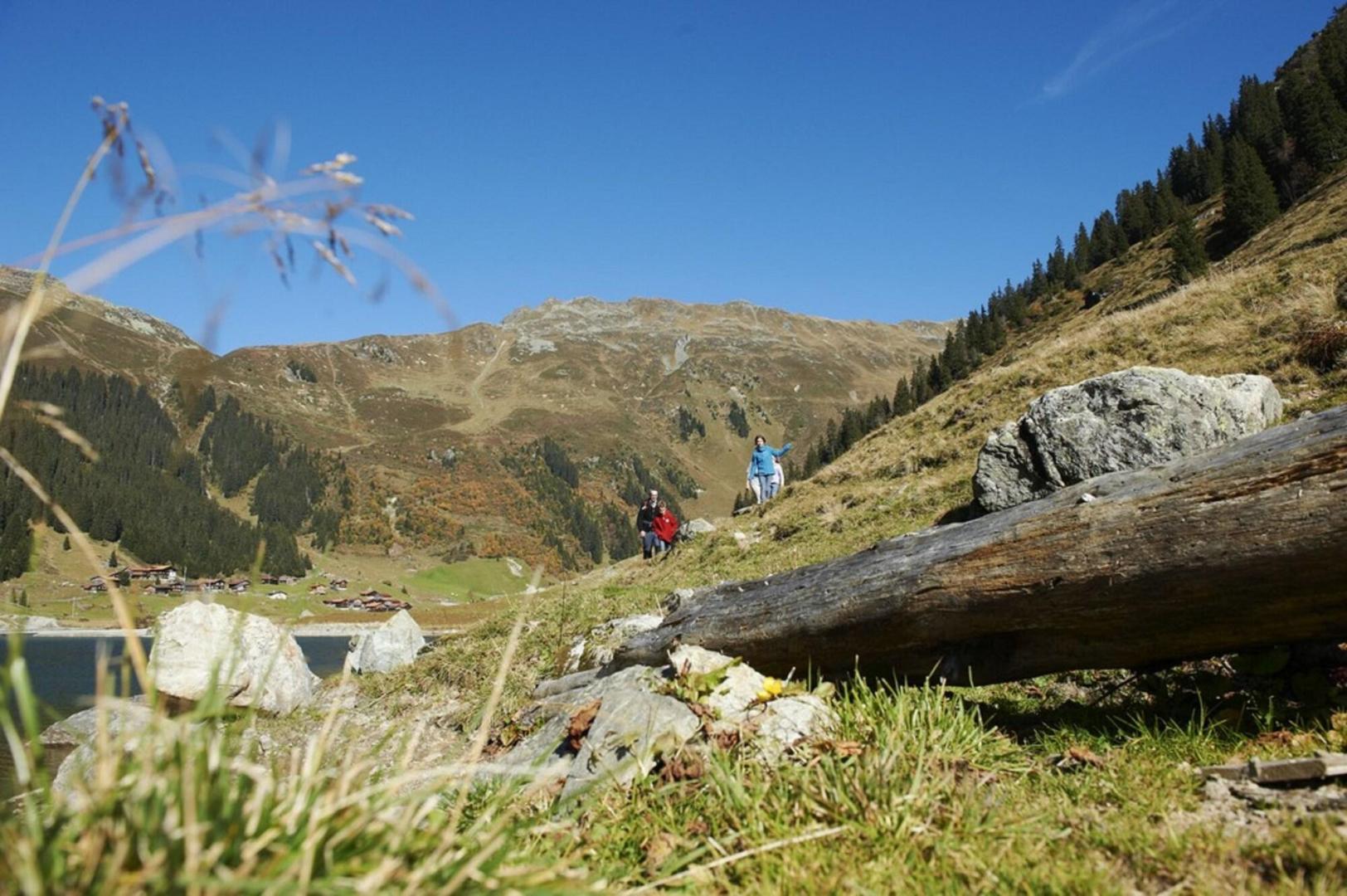 Silvretta Park-Hotel foto 11