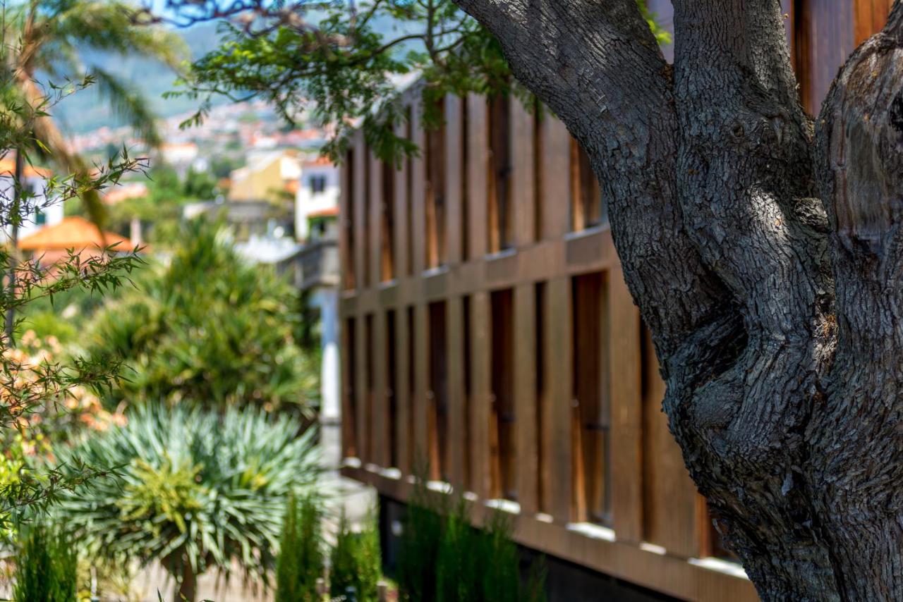 Arts In hotel Conde Carvalhal in Funchal - foto 5