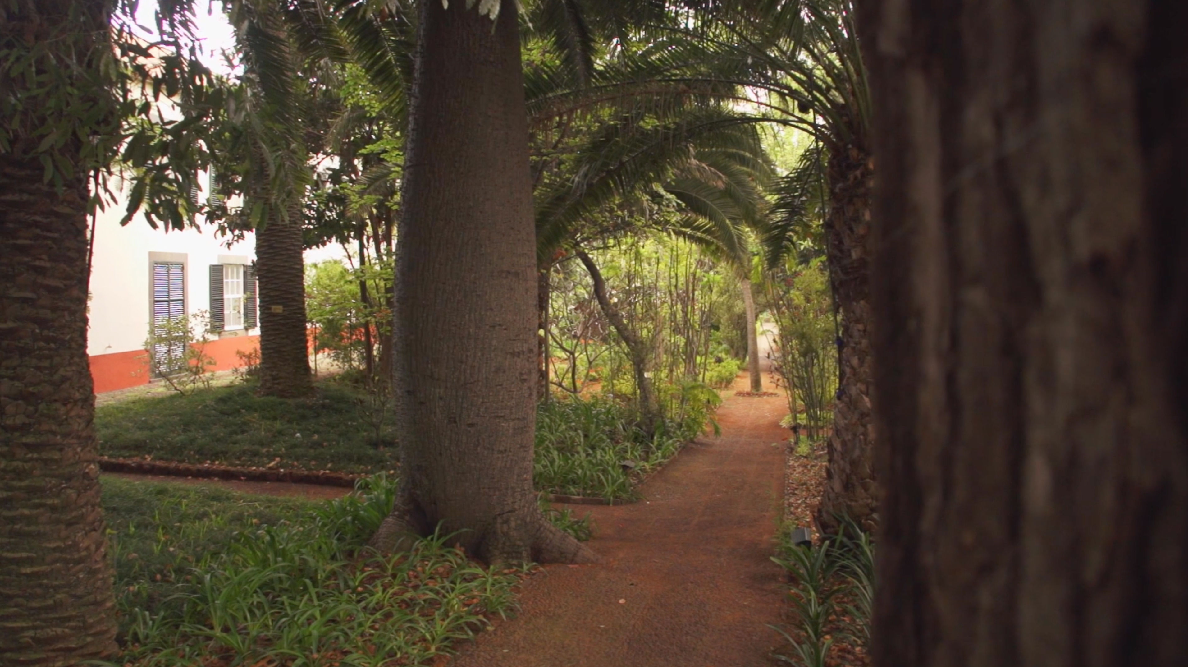 Quinta da Bela Vista foto 6