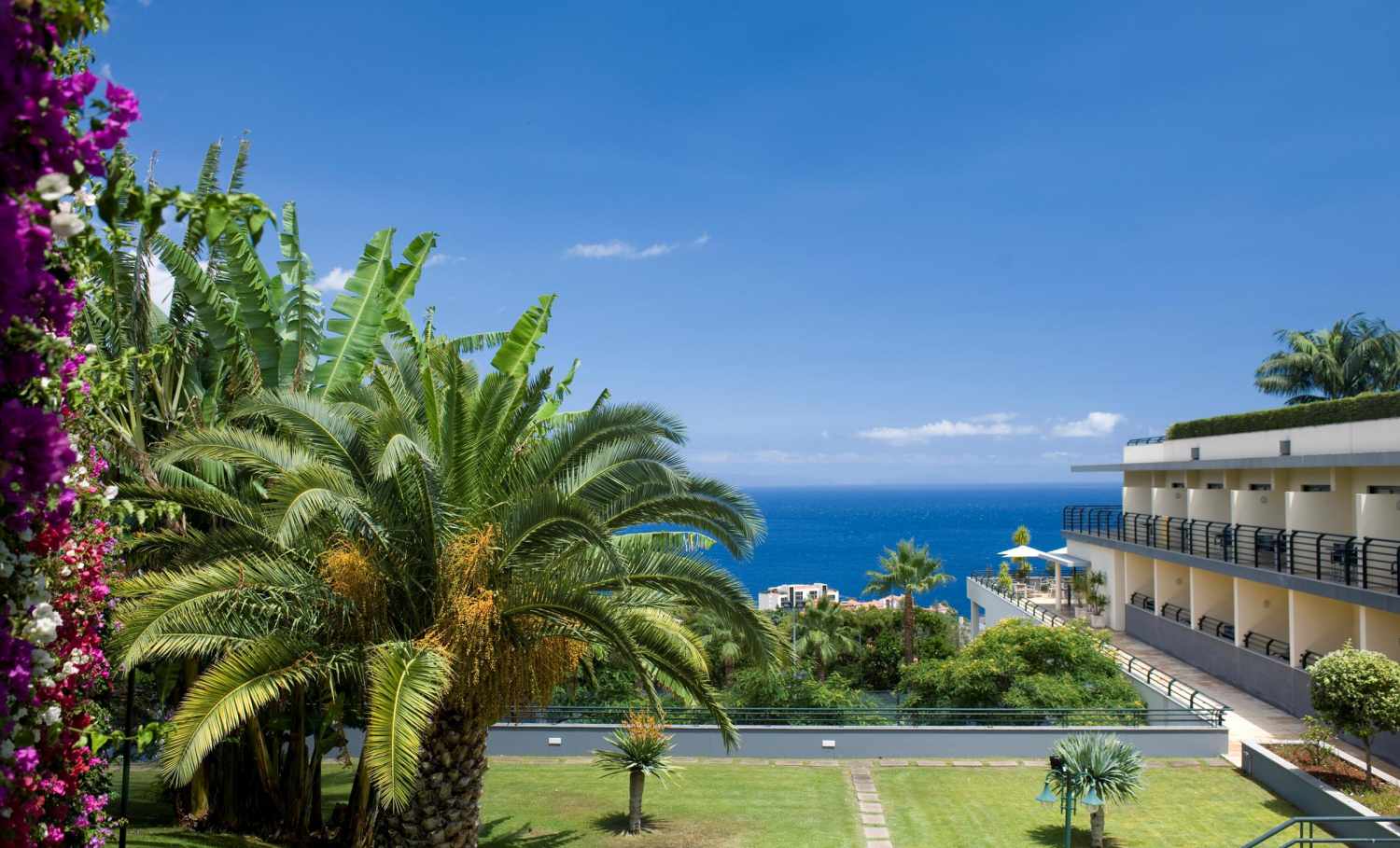 Madeira Panoramico foto 17