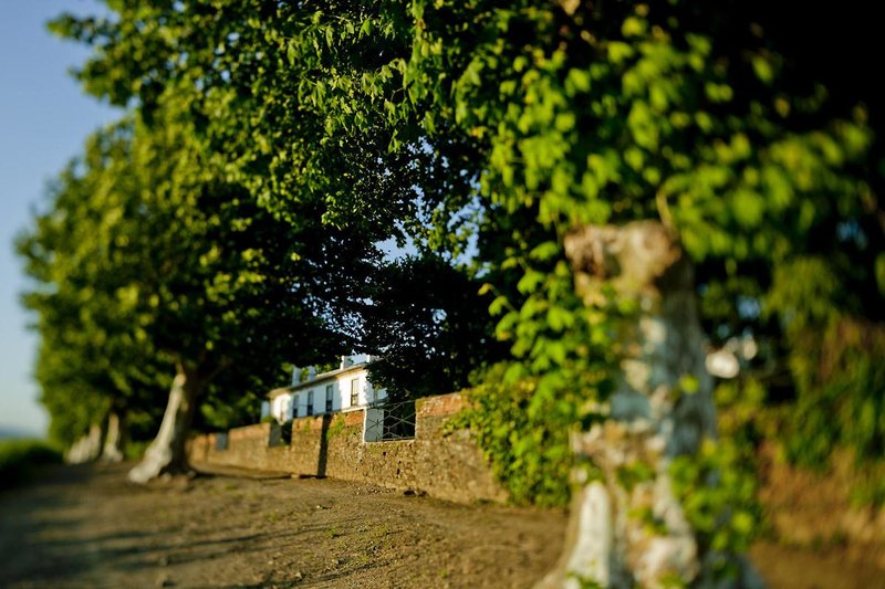 Quinta da Pacheca foto 14