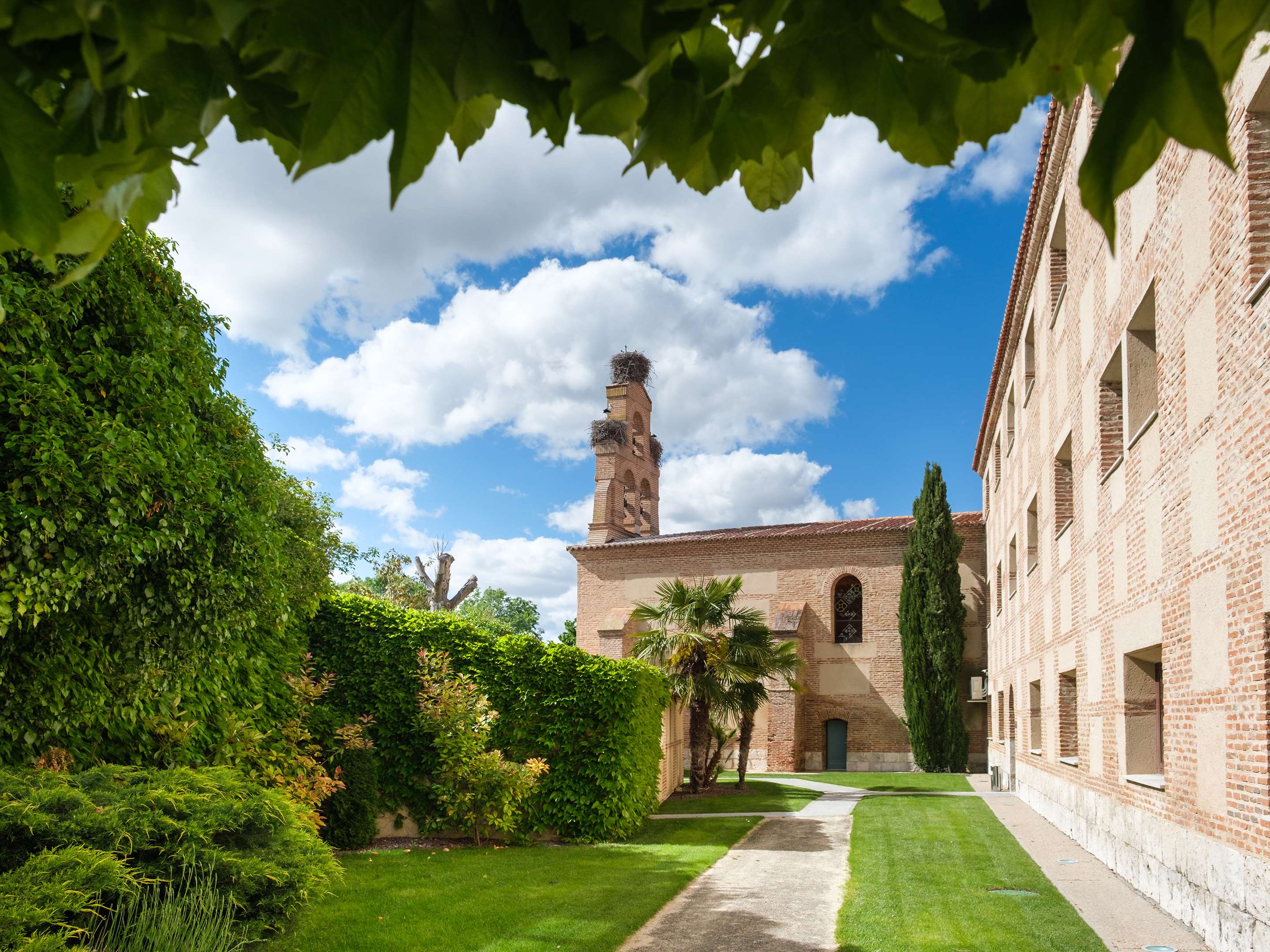 Castilla Termal Olmedo foto 6