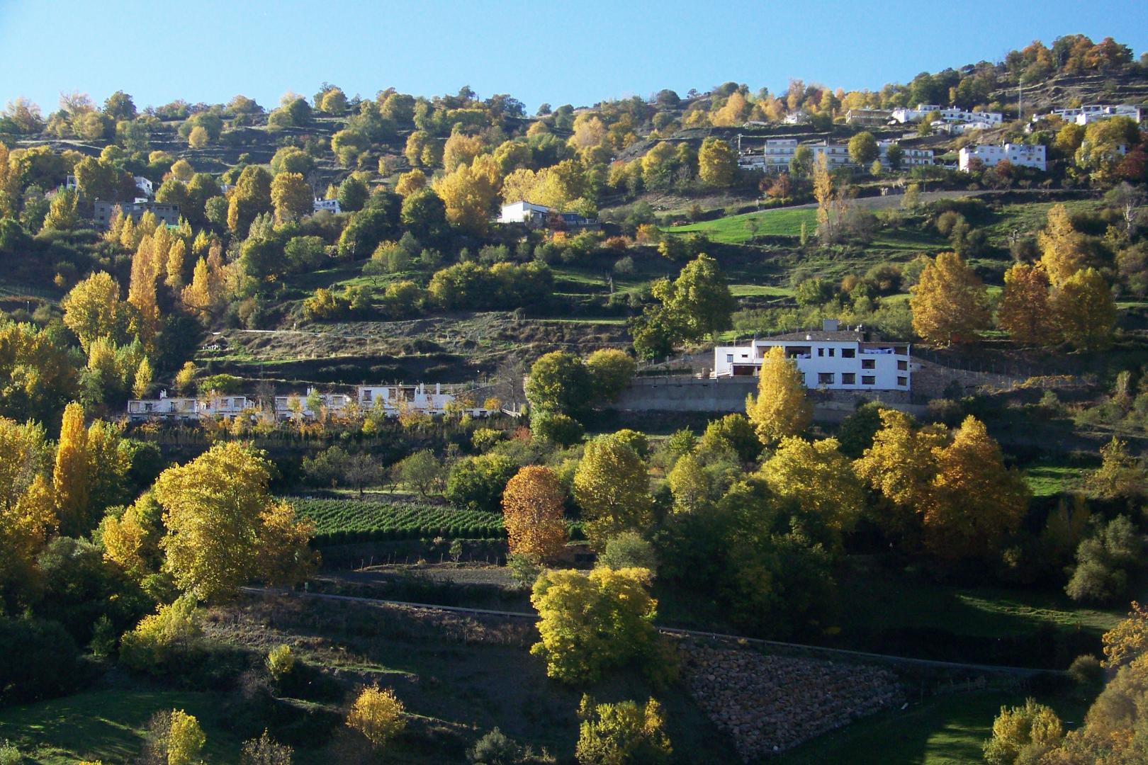 Turismo Rural & SPA El Cercado foto 16