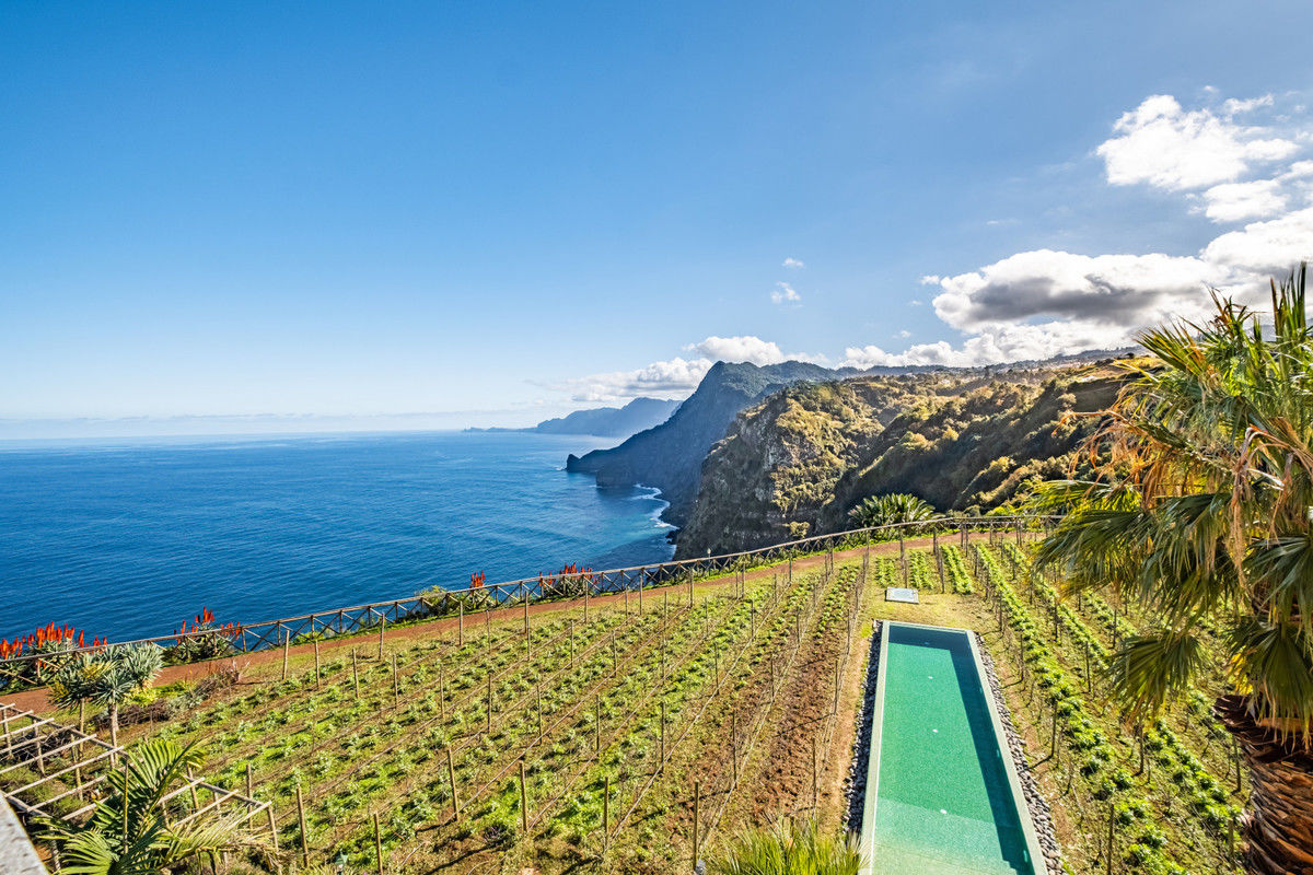Quinta do Furão foto 15